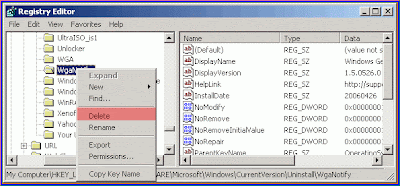 Delete programs intractable Delete programs intractable