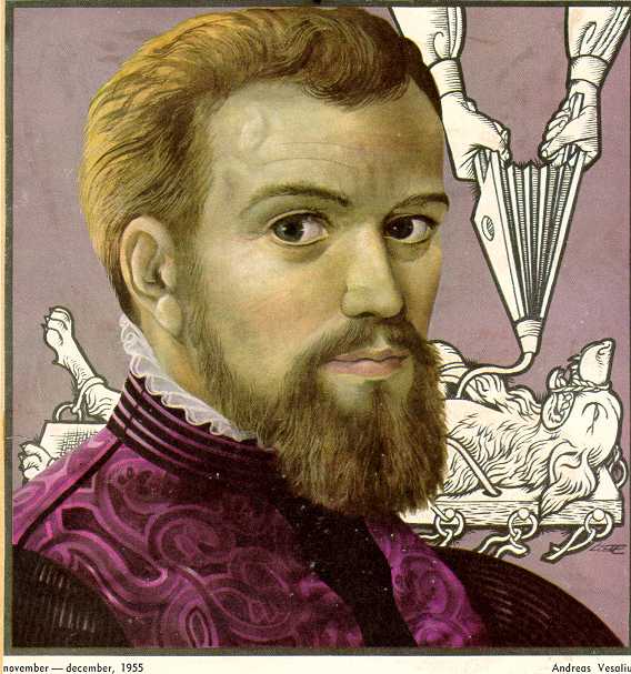 [vesalius.jpg]