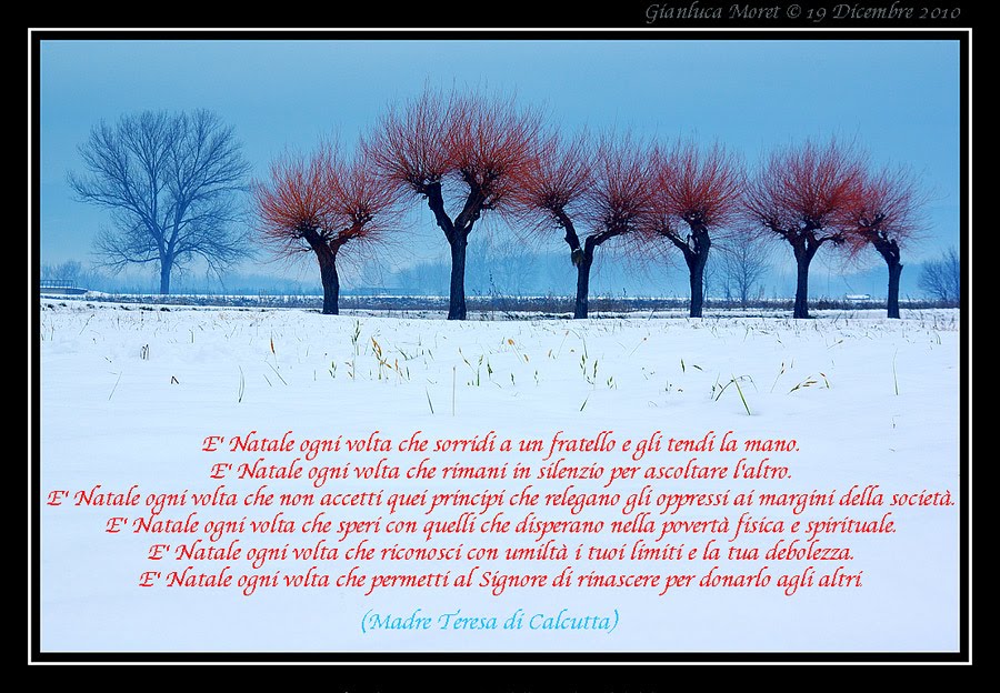 Poesie Di Natale Di Madre Teresa Di Calcutta