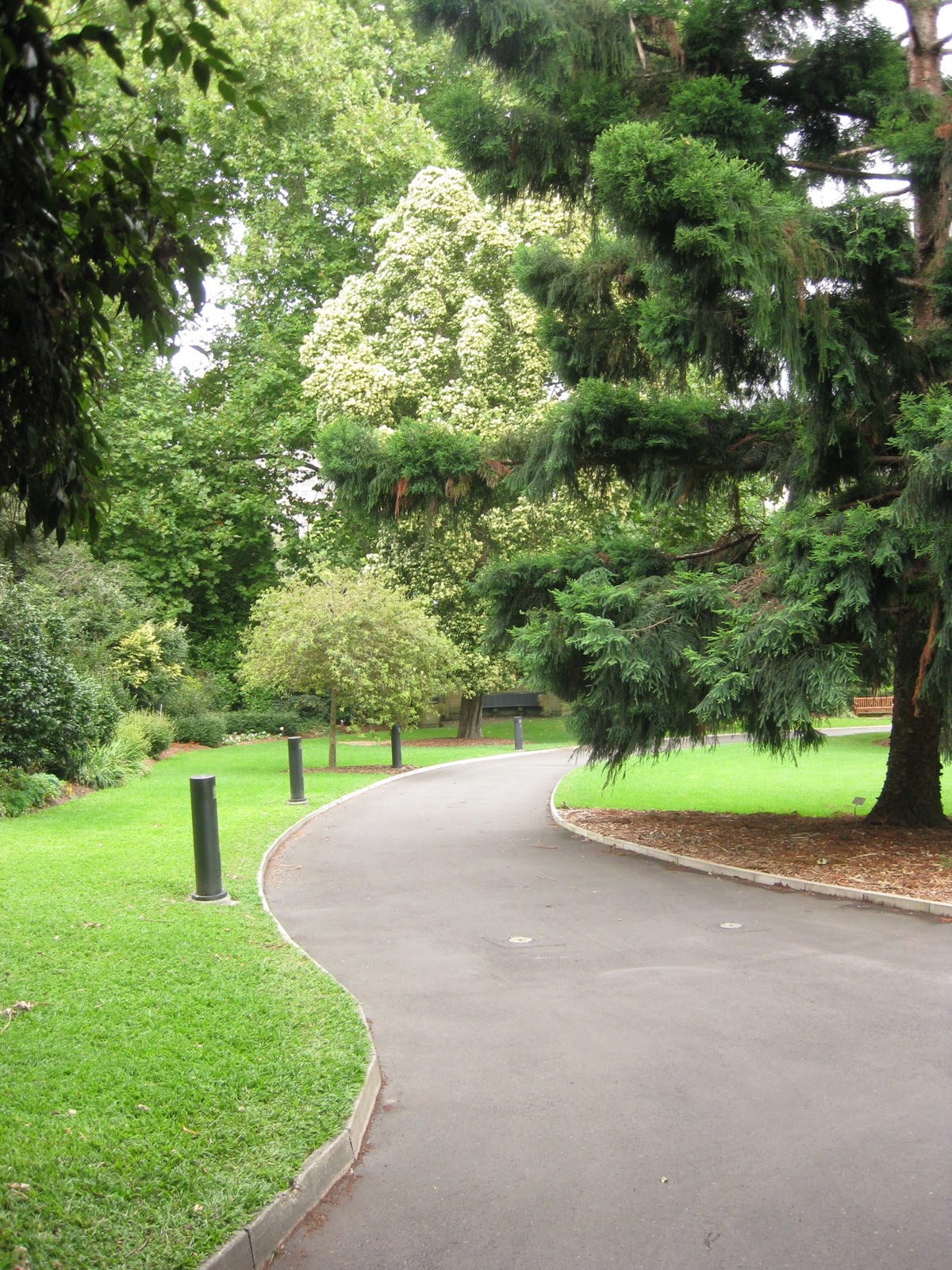 Ian MacNeill Henry Kendall Memorial Royal Botanic Gardens Sydney on