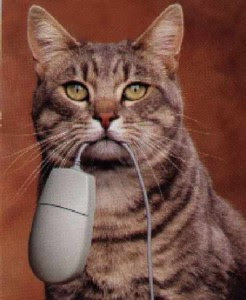 smiješne slike mačke miš besplatne download