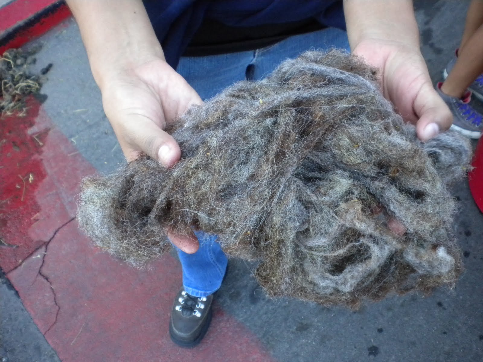 Diné Bizaad Cleaning the WoolAnother Part of the Weaving Process