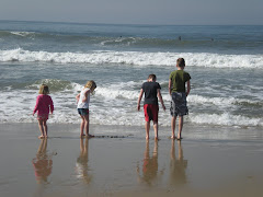 why newport beach will never be the same