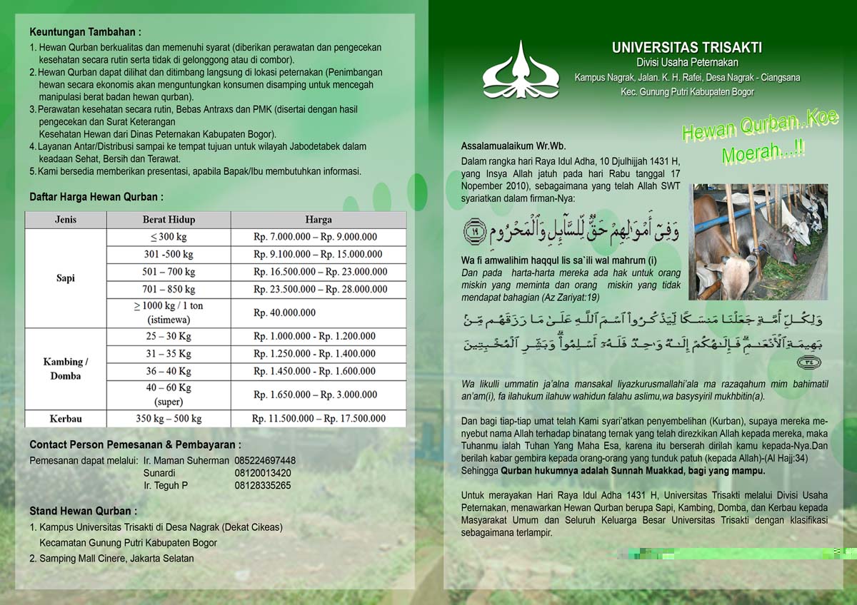 Divisi Usaha Peternakan BROSUR HEWAN QURBAN 1431 H