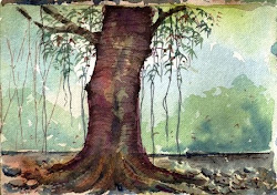 watercolour tree trunk paint painting trees enthusiast diary its