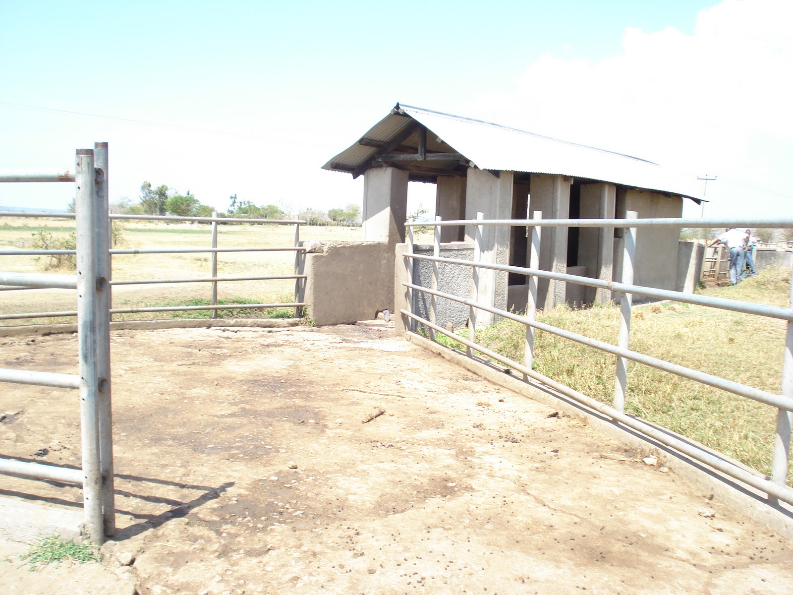 Community Development Programme A good move to revive cattle dips in