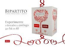 Video Presentation of Bipartito