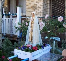 Statue of Mary in box of flowers
