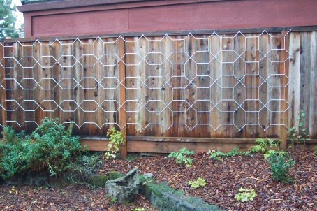 Growing with plants: Trellis Round Up