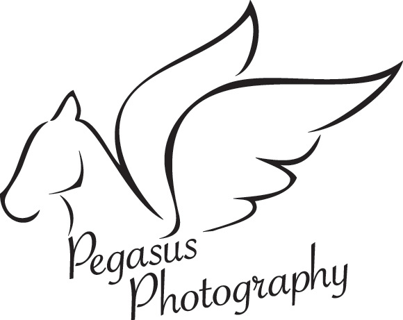 Pegasus Photo