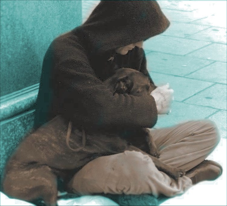 BLOG CON LINKS El Linyera Y Su Perro