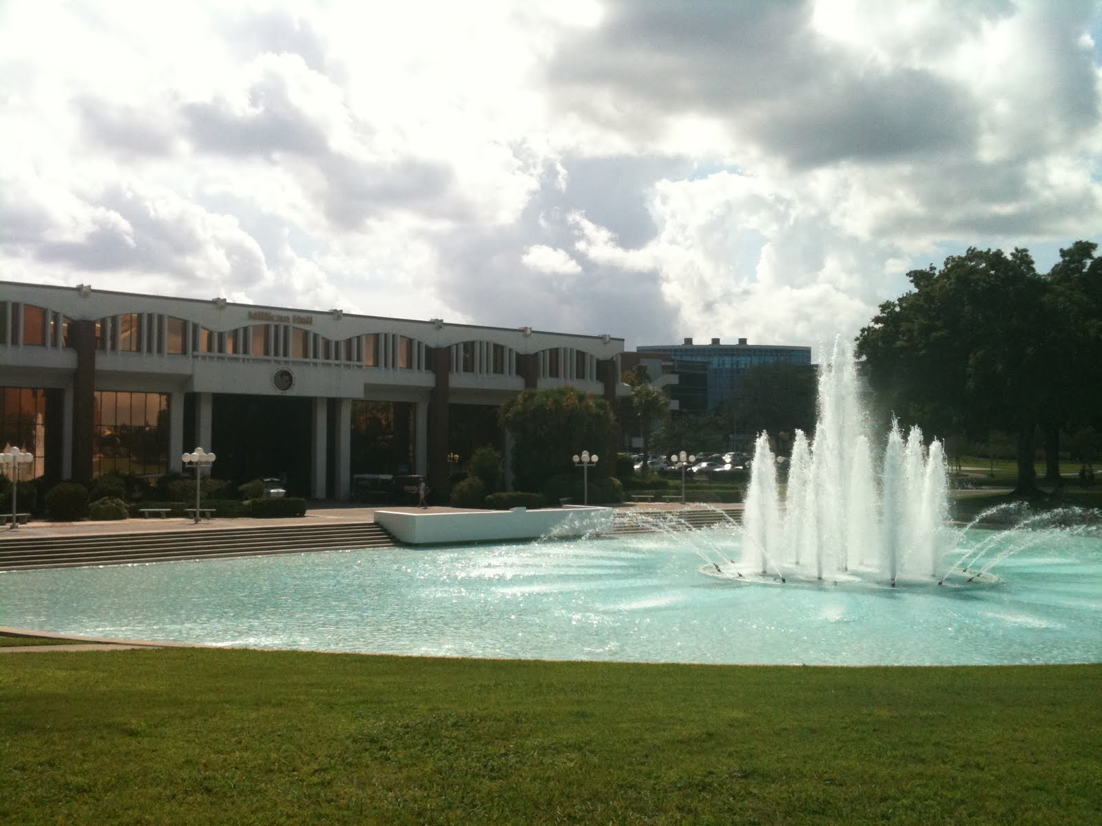A bear's life in the fast lane University of Central Florida