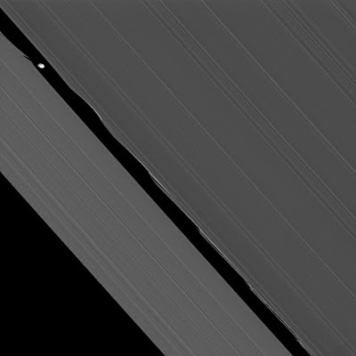 Daphnis between Saturn's rings NASA JPL