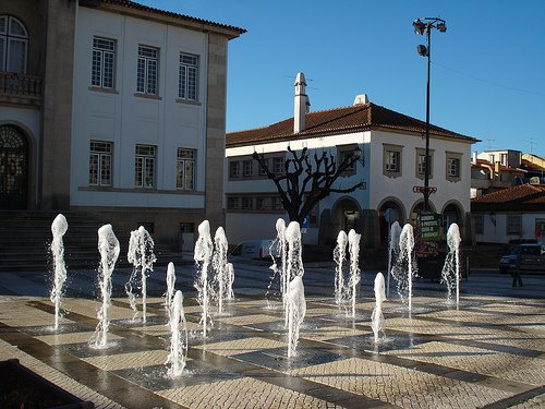 [2303375398_e4cd913189.jpg]