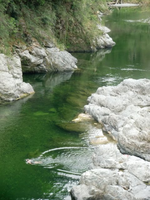 View from Pelaurus Bridge