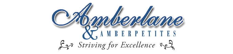 Amberlane & Amberpetites Updates