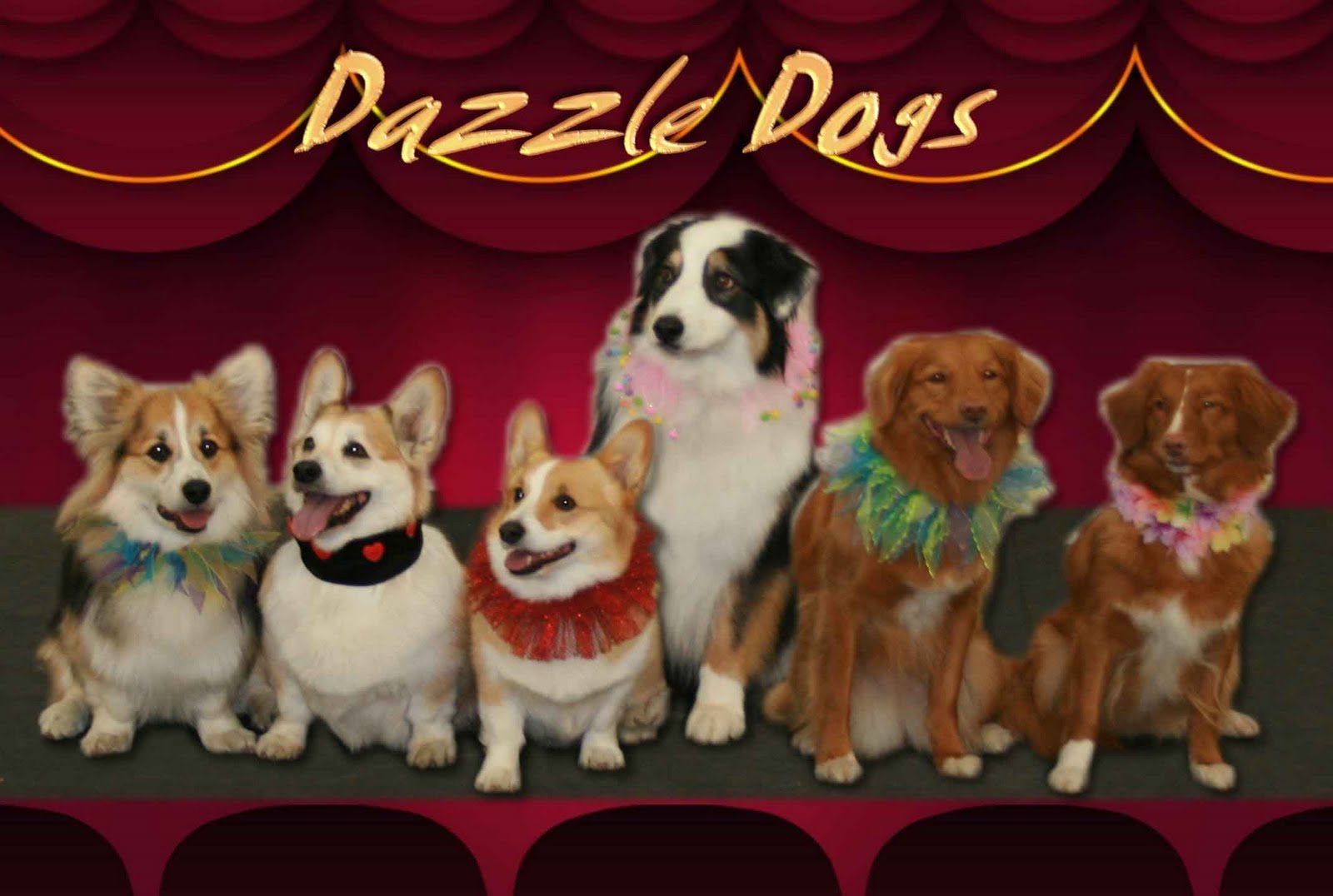 Children's Room at the WFPL Dazzle Dogs Dazzle!