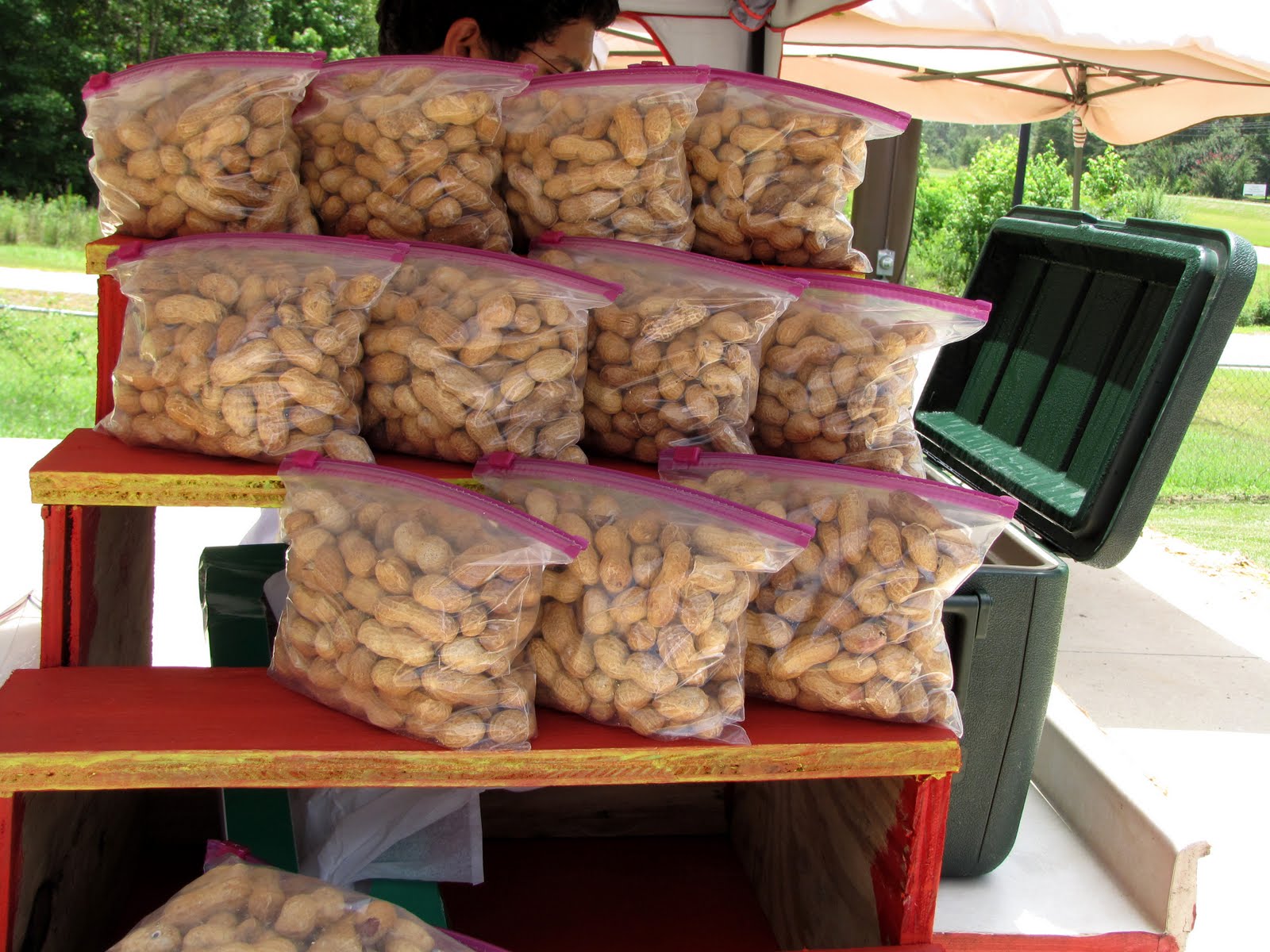 Sheris Healing Flower Garden Peanuts...Boiled Peanuts for Sale