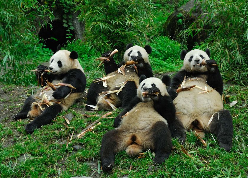 [r251293_1033239.jpg]