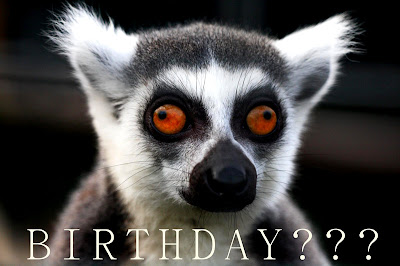 Lemur%2Bbirthday.jpg