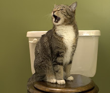 You Can Train Cats to Use the Toilet