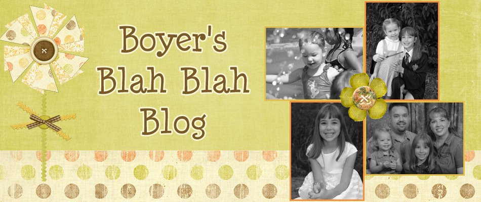 Boyer's Blah Blah Blog