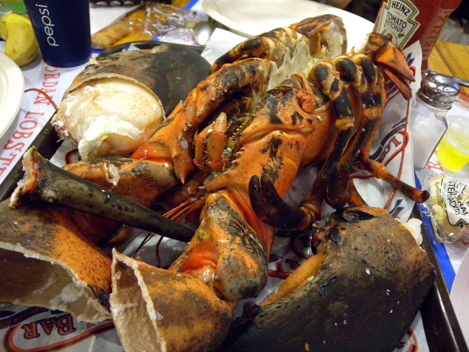 Jordan's Lobster Farm Live, Fresh Seafood