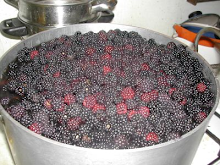 MMMMM..BLACKBERRIES