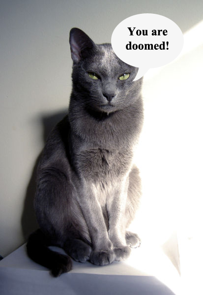 [413px_evil_cat.png]