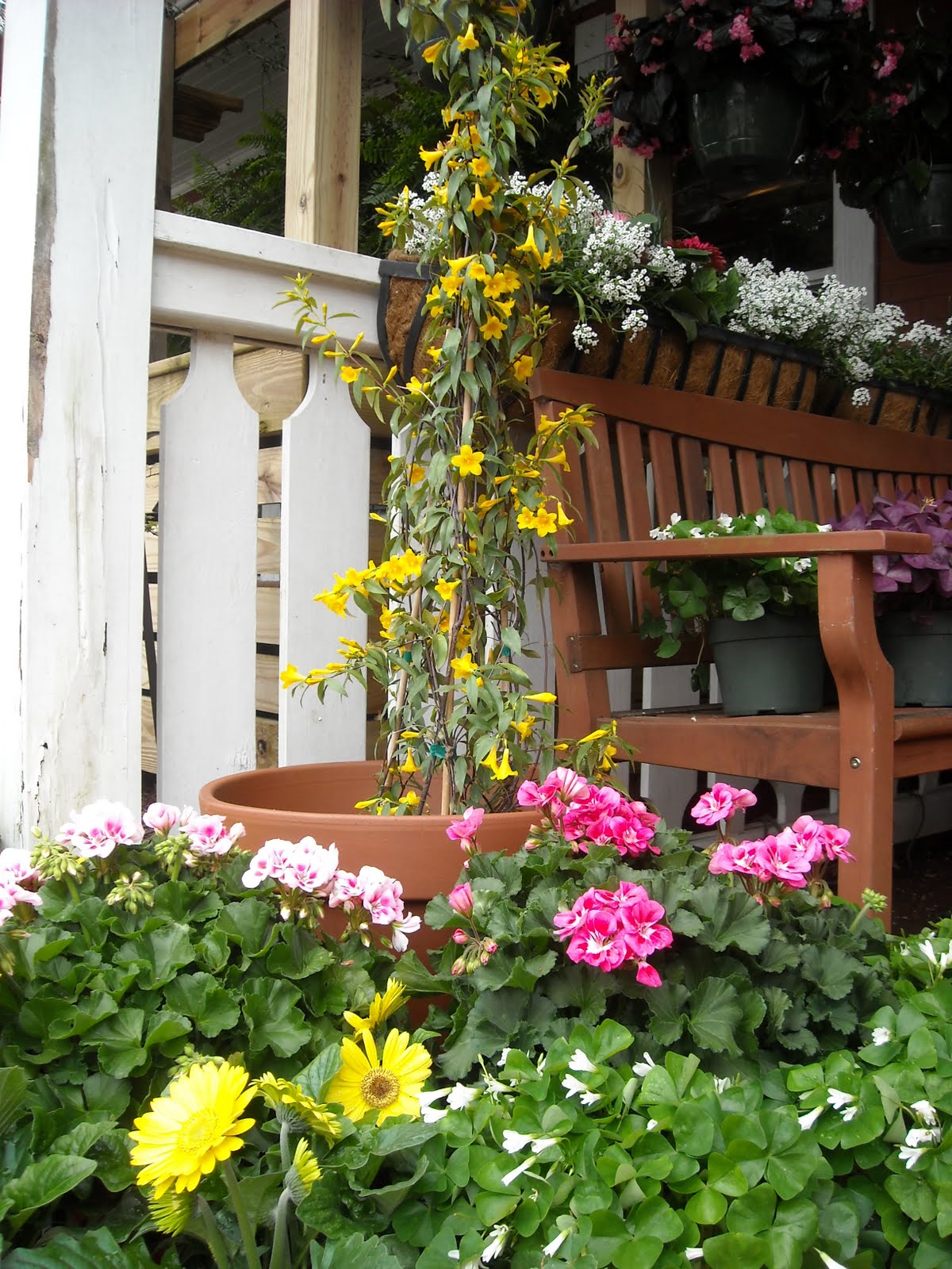 paradis express Hester and Zipperer Lawn & Garden