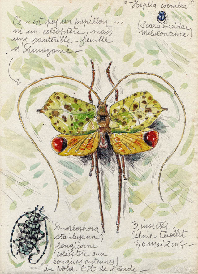 paradis express: Céline Chollet