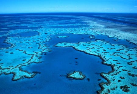 ...maravilla natural coral reef ...