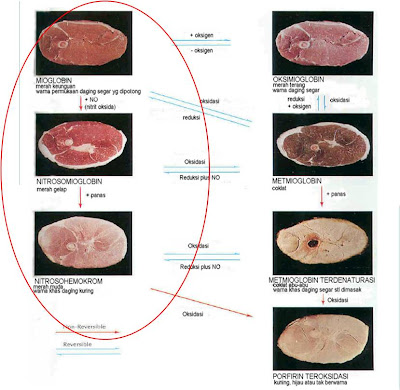 ILMU PANGAN: PERANAN NITRIT TERHADAP MUTU OLAHAN DAGING