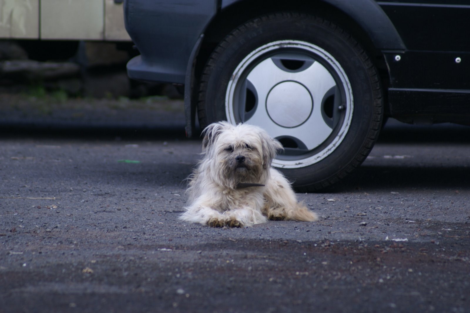 [21+dezembro+2008+060.jpg]