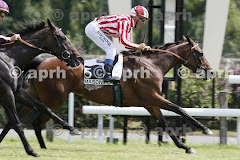 Victoria de Synergy Prix La Pepiniere Listed en Maisons Laffitte