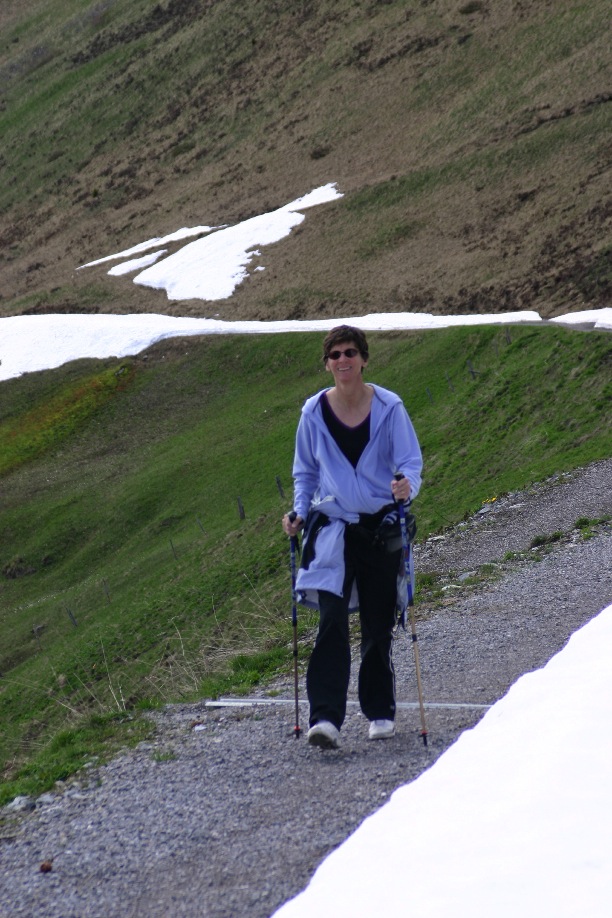 [walking+in+the+Swiss+Alps.jpg]