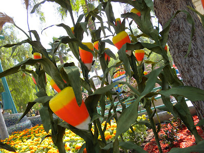 My little cottage in the making: CANDY CORN ACRES