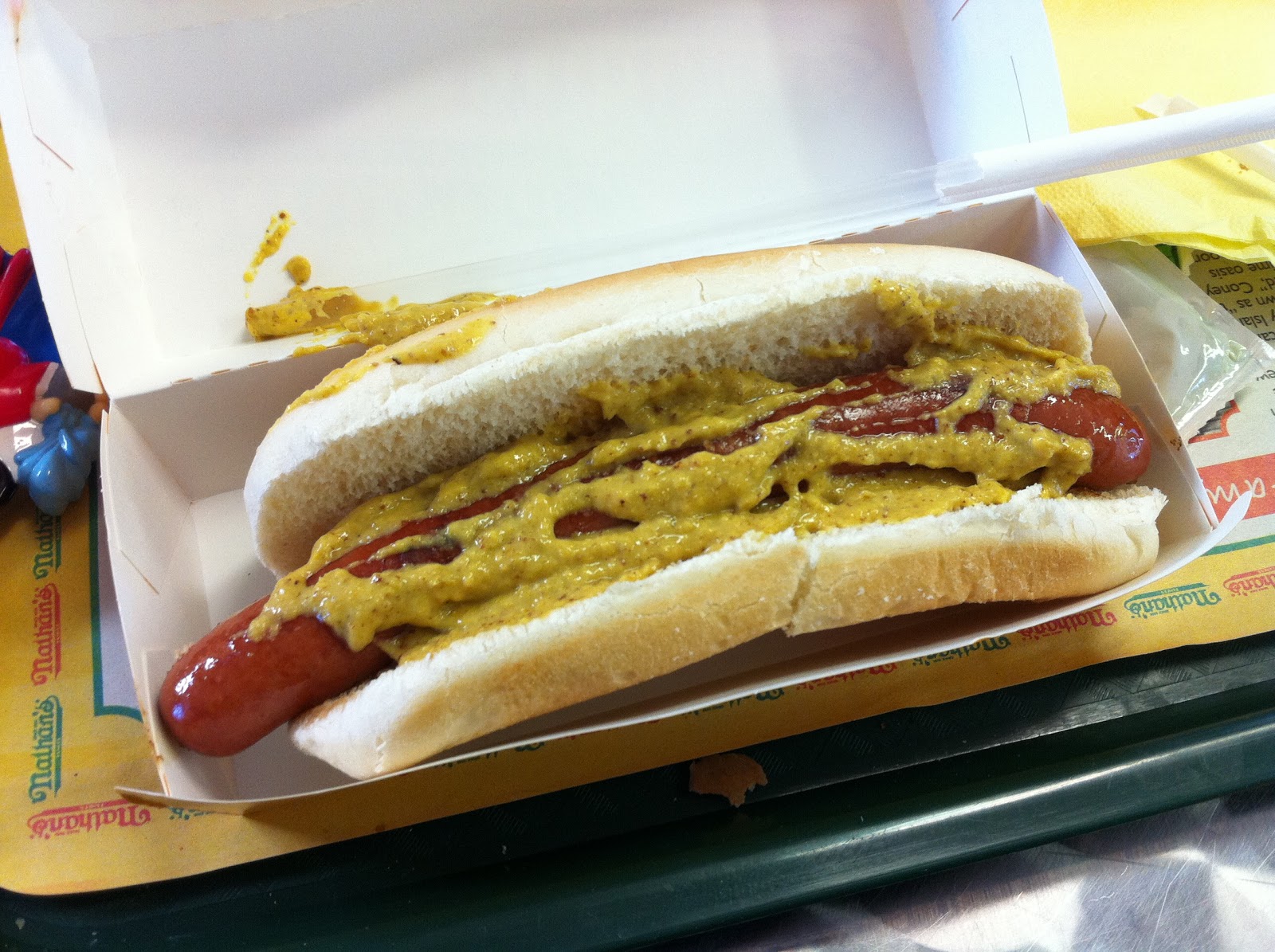 GREAT EATS HAWAII NATHAN'S HOT DOGS CONEY ISLAND, NEW YORK