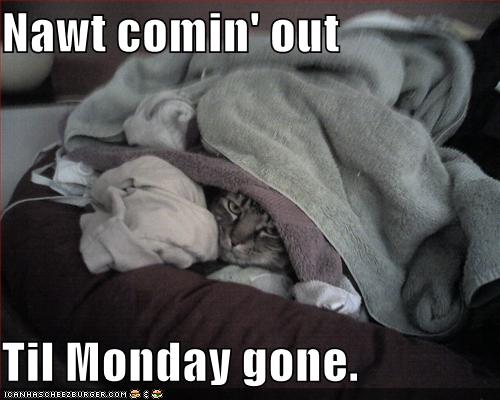 [funny-pictures-cat-is-not-coming-out-until-monday-is-gone.jpg]