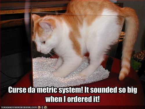 [funny-pictures-cat-curses-the-metric-system.jpg]