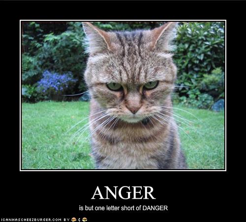 [funny-pictures-your-cat-is-angry-and-dangerous.jpg]