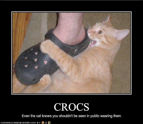 [funny-pictures-cat-hates-your-shoes.jpg]