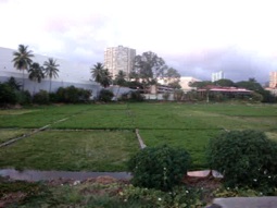 Heading out to Pearls