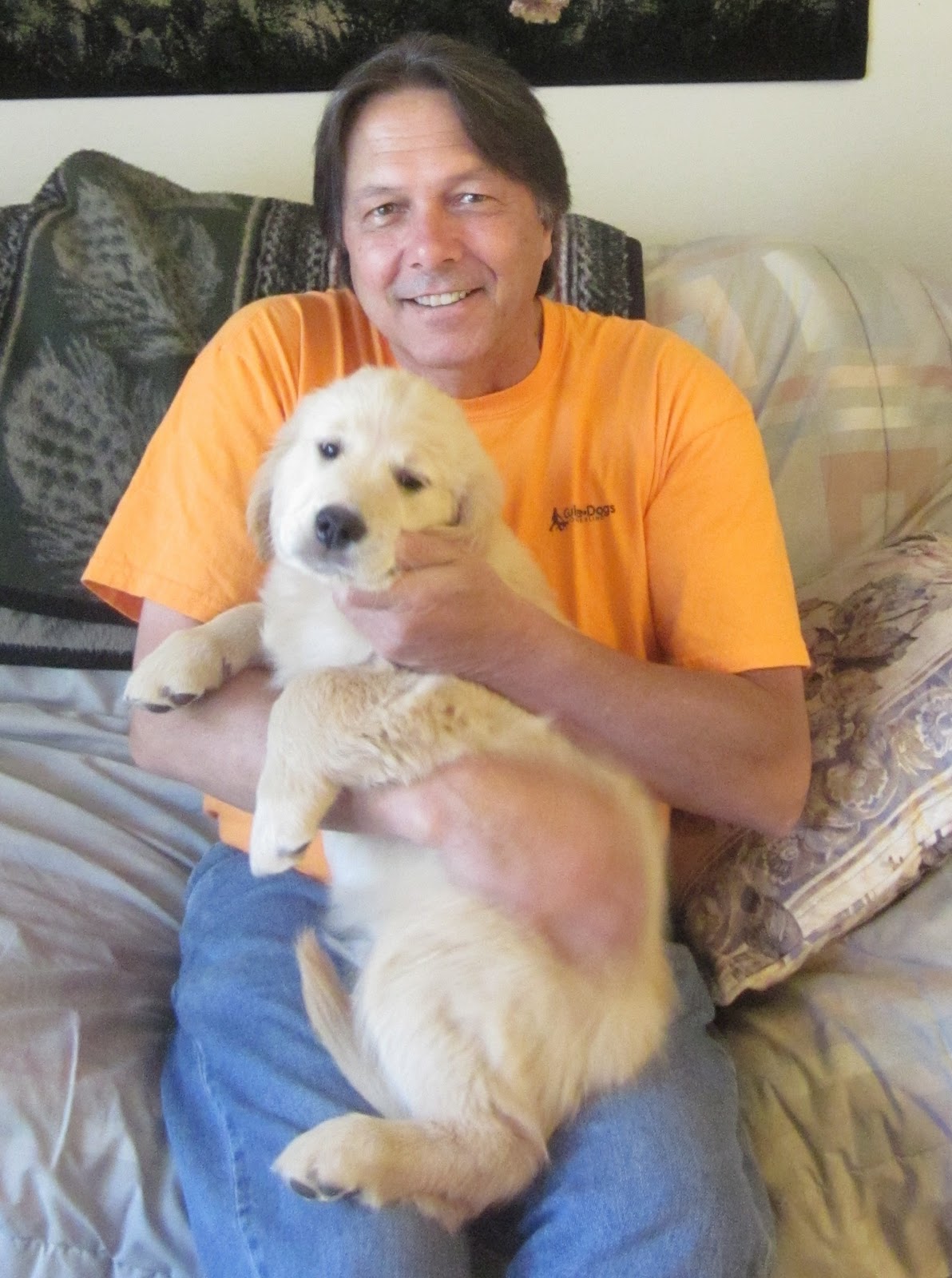 GRETNA GREEN GOLDENS: A new adventure begins