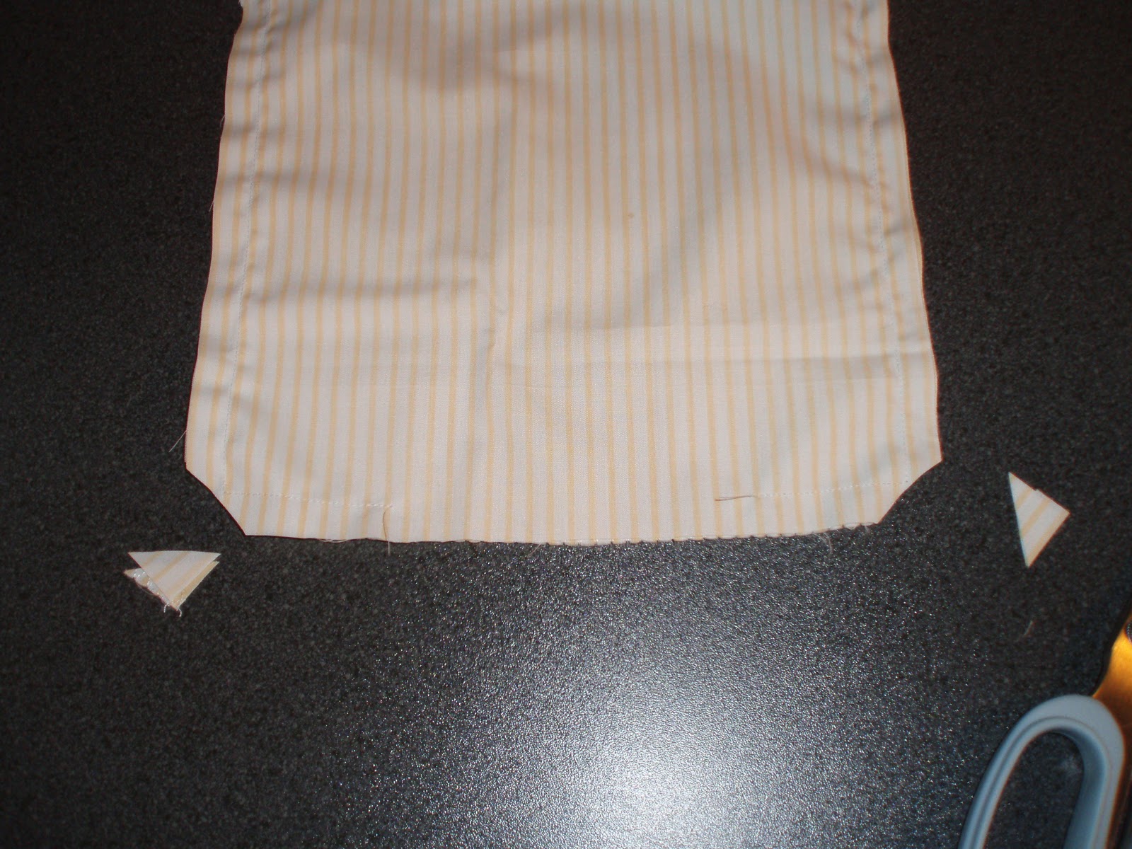 Karin Aan De Haak Rijstkussentje