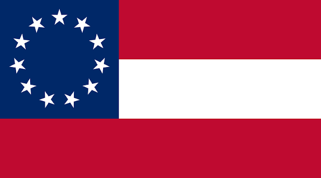 First National Flag (11 Stars)