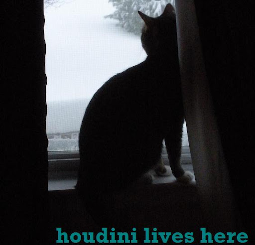Houdini Lives Here