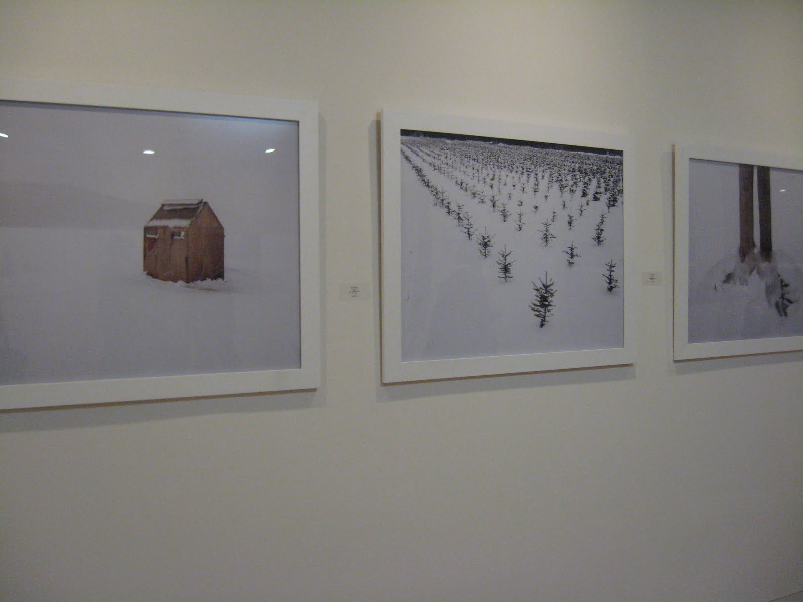 DC This Week ™ The Art Registry Brought Traffic to a Stand Still on