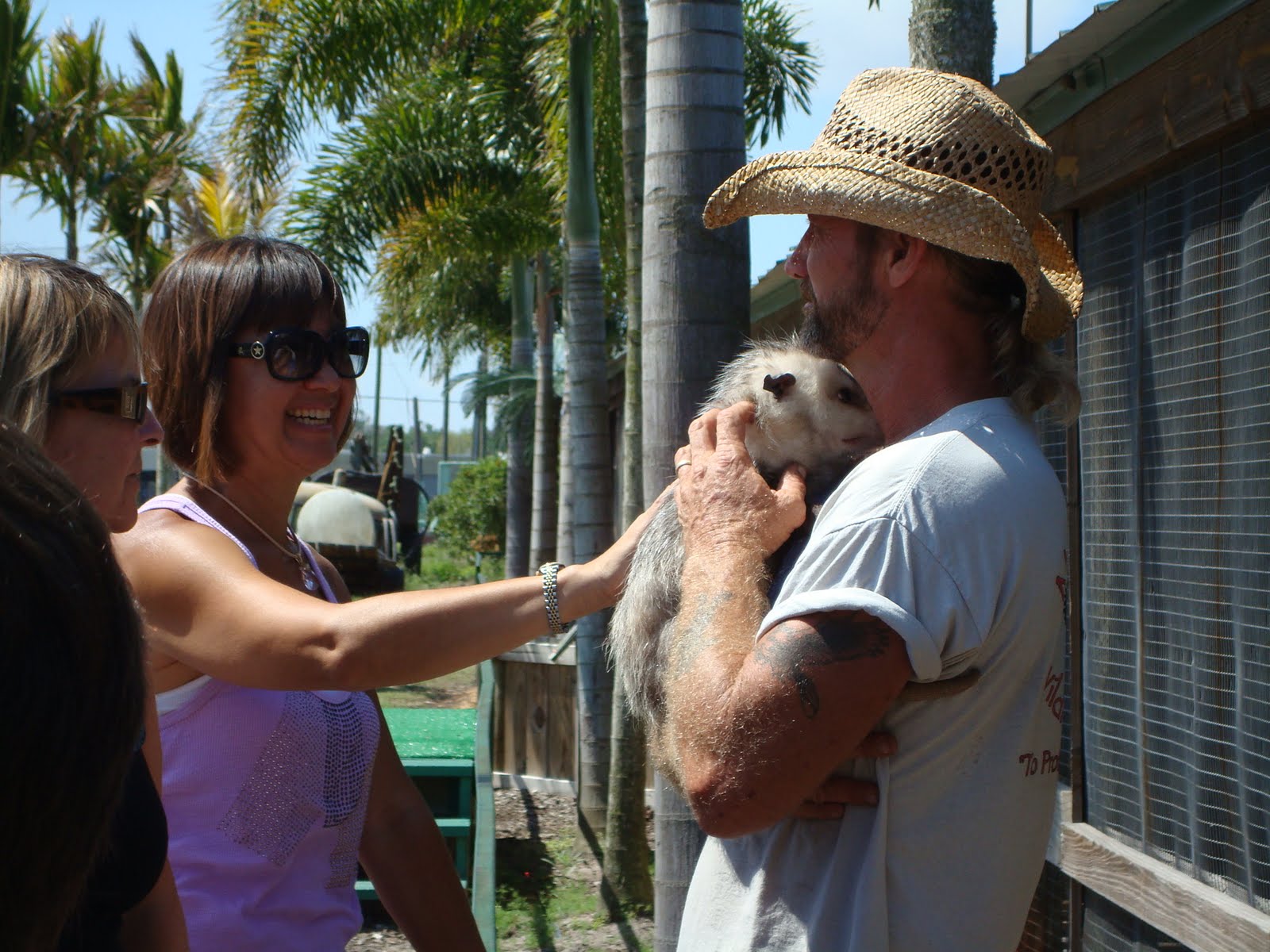 Justin lieber essay 07 image