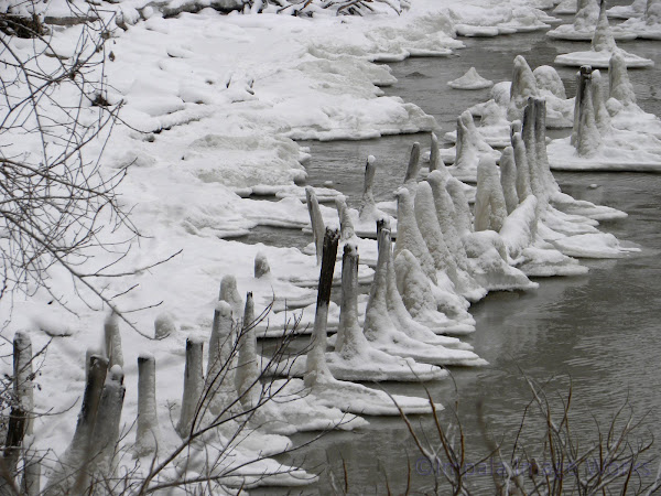 Lake Erie: January 5, 2010 - 3:50 PM